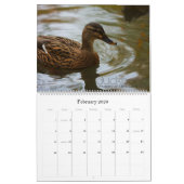 Kalender 2012: Zeit, Raum und neue Welten (Feb 2026)