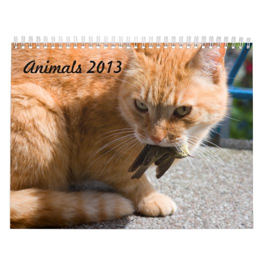 Kalender 2013 (Titelbild)