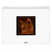 Kalender 2013 (Rückseite)