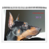Kalender 2013. (Titelbild)