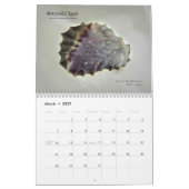 Kalender 2013 (Mär 2027)