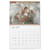 Kalender 2013 (Mär 2027)