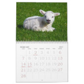 KALENDER 2013 (Feb 2027)