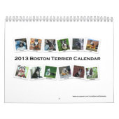Kalender 2013 Bostons Terrier (Titelbild)