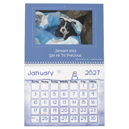 Kalender 2013 Bostons Terrier (Jan 2027)