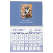 Kalender 2013 Bostons Terrier (Feb 2026)