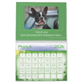 Kalender 2013 Bostons Terrier (Mär 2026)