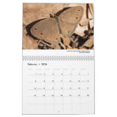 Kalender 2013 - Schmetterlinge und Motten (Feb 2026)
