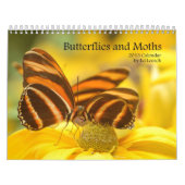 Kalender 2013 - Schmetterlinge und Motten (Titelbild)