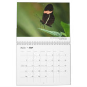 Kalender 2013 - Schmetterlinge und Motten (Mär 2027)