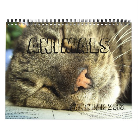Kalender 2013 - Tiere (Titelbild)