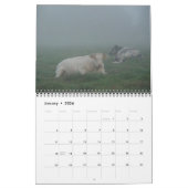 Kalender 2013 - Tiere (Jan 2026)