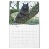 Kalender 2013 - Tiere (Mär 2026)