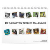 Kalender 2014 Bostons Terrier (Titelbild)
