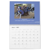 Kalender 2014 Bostons Terrier (Mär 2027)