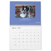 Kalender 2014 Bostons Terrier (Feb 2027)