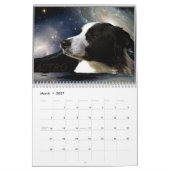 Kalender 2014 jolulodi Border Collie (Mär 2027)