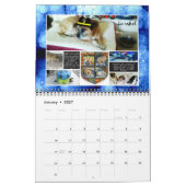 Kalender 2014 - Rettung Wertvoller Haustiere (Jan 2027)