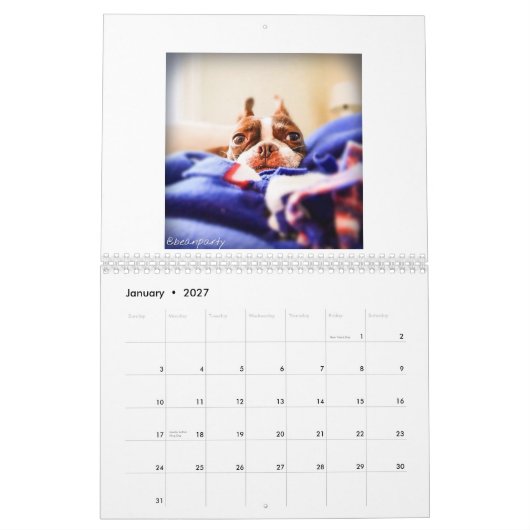 Kalender 2015 Bostons Terrier (Jan 2027)