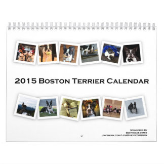 Kalender 2015 Bostons Terrier