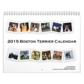 Kalender 2015 Bostons Terrier (Titelbild)
