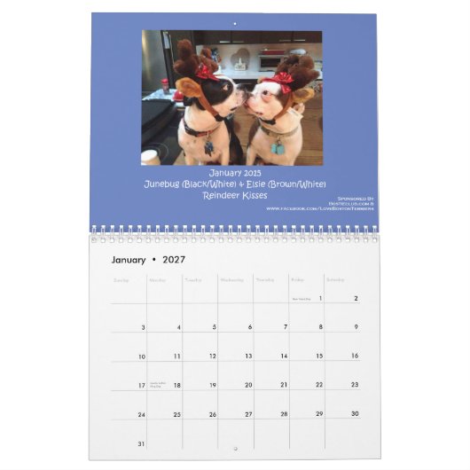Kalender 2015 Bostons Terrier (Jan 2027)