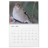 Kalender 2015 der kleinen Vögel (Mär 2026)