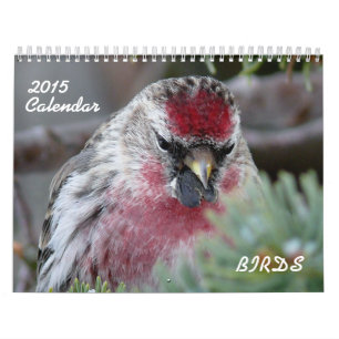 Kalender 2015 der kleinen Vögel