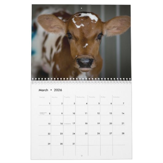 Kalender 2016 der Abolitionist-veganen (Mär 2026)