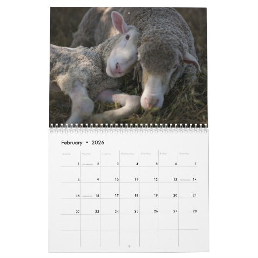 Kalender 2016 der Abolitionist-veganen (Feb 2026)