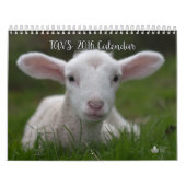 Kalender 2016 der Abolitionist-veganen (Titelbild)