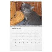 Kalender 2016 mit Ferien - Katzen (Feb 2027)