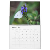 Kalender 2016, Schmetterlinge und Blüte (Feb 2026)