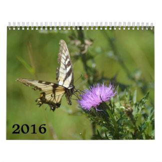 Kalender 2016, Schmetterlinge und Blüte