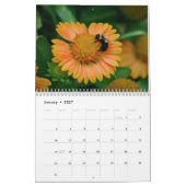 Kalender 2016, Schmetterlinge und Blüte (Jan 2027)
