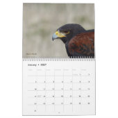 Kalender 2016 - Vögel von Nordamerika (Jan 2027)
