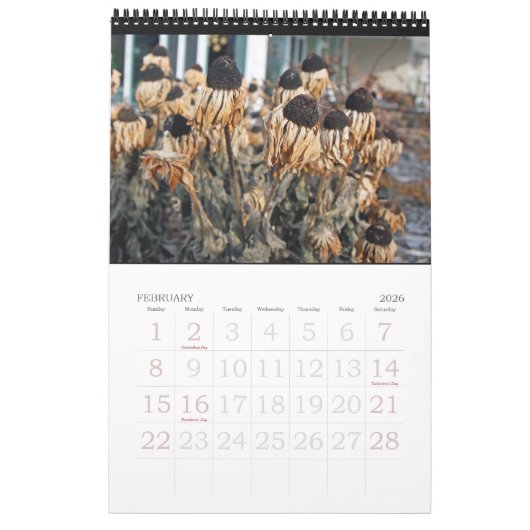 Kalender 2017 (Feb 2026)