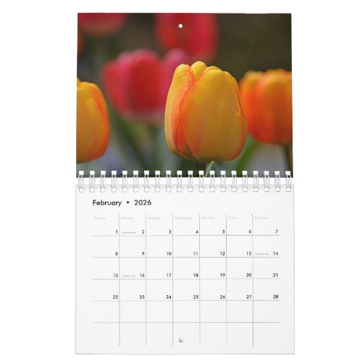 Kalender 2017 (Feb 2026)