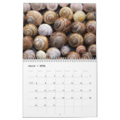 Kalender 2017 der Muscheln (Mär 2026)
