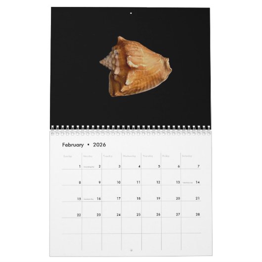 Kalender 2017 der Muscheln (Feb 2026)