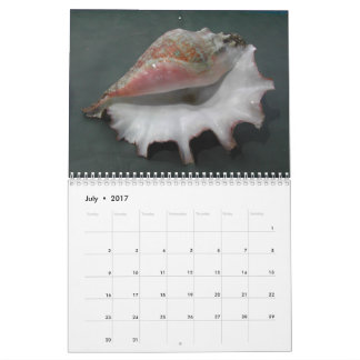 Kalender 2017 der Muscheln