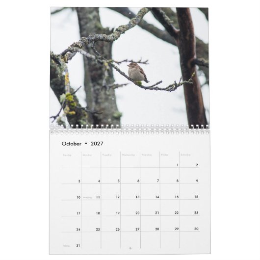 Kalender 2017 durch Barbara-Abgabe (Okt 2027)
