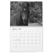 Kalender 2017 durch Barbara-Abgabe (Feb 2027)