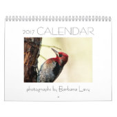 Kalender 2017 durch Barbara-Abgabe (Titelbild)
