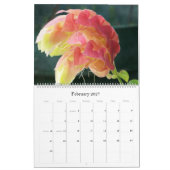 Kalender 2017: Fotografien durch Joan McQuaid (Feb 2027)