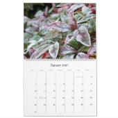 Kalender 2017: Fotografien durch Joan McQuaid (Jan 2027)