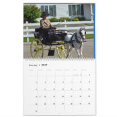 Kalender 2017 mit Bildern vom Walnuss-Hügel (Jan 2027)
