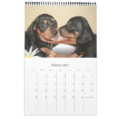Kalender 2017 Puppy Dachshunds (Feb 2027)