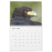 Kalender 2017 - Vögel Nordamerikas (Mär 2026)