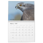 Kalender 2017 - Vögel Nordamerikas (Feb 2027)